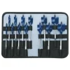 Bosch DareDevil 13 Piece Spade Bit Set/Pch DSB5013P