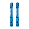 Spyder 2" T30 Impact Driver Bit (2-Pack) 19055